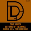 Rhythm of the House - Single