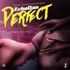 Perfect - Single