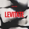 Levitate - Single