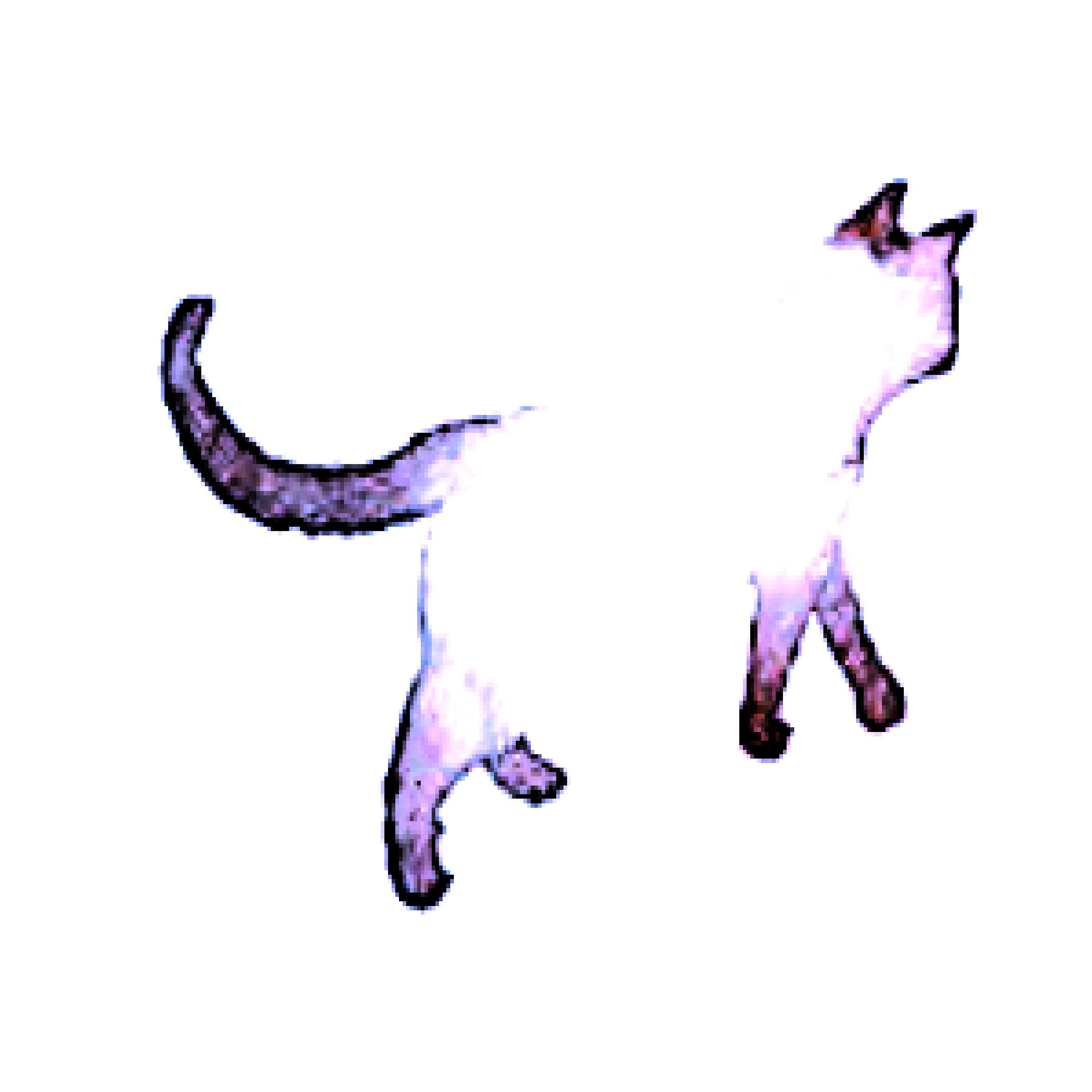 100000x100000-999.jpg