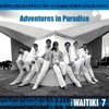 The WAITIKI 7 - Craving