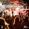 Country Boy (Instrumental) - Single, 2024