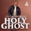 Oladimeji Adelaja - Holy Ghost