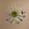 Spoiling Me - Single