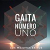 los mejores exitos - La Gaita Numero Uno