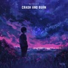 Crash and Burn - Single