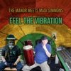 Feel the Vibration - Single