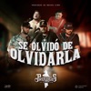 Se Olvidó De Olvidarla - Single