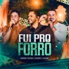 Fui Pro Forró - Single