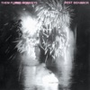 Them Flying Monkeys - Everybody Everything