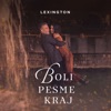 Boli pesme kraj - Single