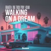 Walking On a Dream - Single