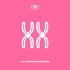 XX Chromosomes - Single