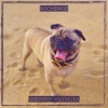 Sherwin Mathura - Sochenge