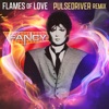 Flames of Love (Pulsedriver Remix) - Single