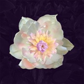 Settled Arrows - St. Pancras