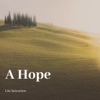 Lite Saturation - A Hope