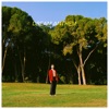 Dream Anthem - Single