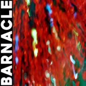 Barnacle - Such A Waste