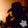 Say Goodbye - Single