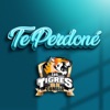 Te Perdoné - Single