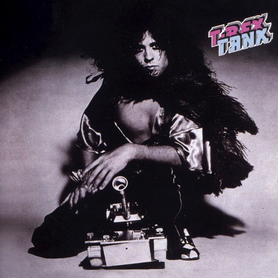 Cover artwork for Mad Donna