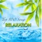 Reiki (Détente) - Liquid Relaxation lyrics