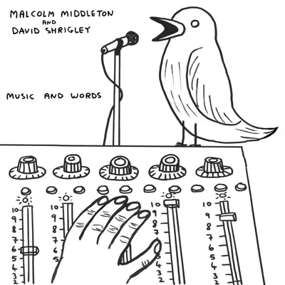 Music and Words - Malcolm Middleton