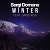 Winter (feat. David Ros) - Single