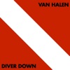 Diver Down, 1982
