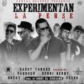 Experimentan la Perse (Remix) [feat. Daddy Yankee, Farruko, Gotay & Pusho] artwork