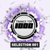 Trance Top 1000 Selection, Vol. 1, 2015