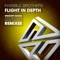 Flight in Depth (Gregory Esayan Remix) - Invisible Brothers lyrics
