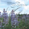 Mississippi Valley Orchestra - In Nature's Realm Op. 91