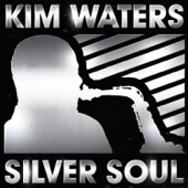 Silver Soul artwork