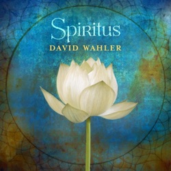 David Wahler - Bhakti Heart