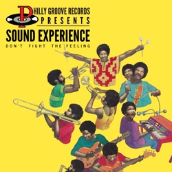 Sound Experience - Devil With the Bust