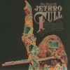 The Best of Jethro Tull (The Anniversary Collection)