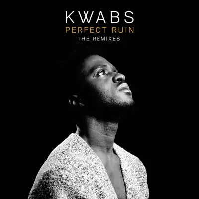 Perfect Ruin (Remixes) - Single - Kwabs