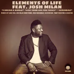 Live Your Life for Today (Roots NYC Main Mix) [feat. Josh Milan] Song Lyrics