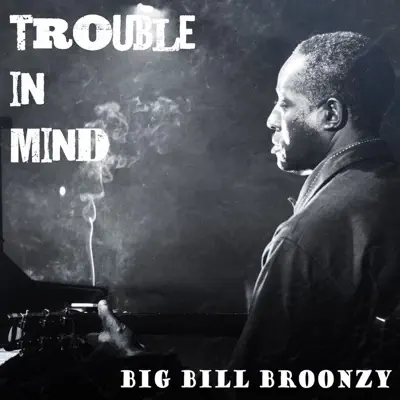 Trouble in Mind (Remastered) - Big Bill Broonzy