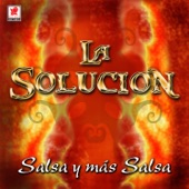 Salsa y Más Salsa artwork