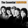 The Essential Survivor artwork