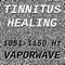 Tinnitus Healing For Damage At 1095 Hertz - Vaporwave lyrics