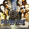 Section Zouk All Stars, Vol. 6, 2009