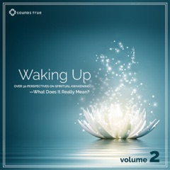 Waking Up: Volume 2: Over 30 Perspectives on Spiritual Awakening - What Does It Really Mean? Volume 2
