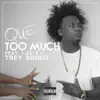 Too Much (feat. Lizzle & Trey Songz) song lyrics