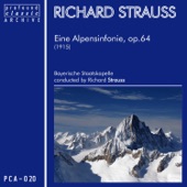 Eine Alpensinfonie für Orchester, Op. 64 (TrV 233): Erscheinung - Auf blumigen Wiesen - Auf der Alm - Durch Dickicht und Gestrüpp auf Irrwegen artwork