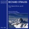 Eine Alpensinfonie für Orchester, Op. 64 (TrV 233): Erscheinung - Auf blumigen Wiesen - Auf der Alm - Durch Dickicht und Gestrüpp auf Irrwegen artwork