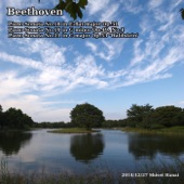 Beethoven: Piano Sonata No. 18, 19, 21 artwork